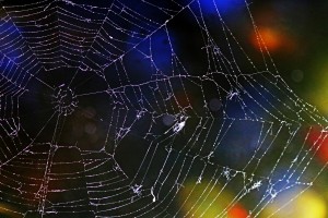 Web Repairs